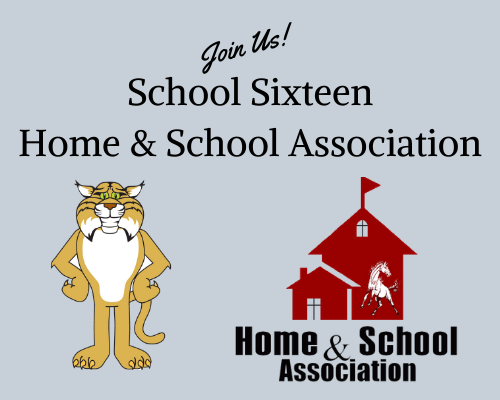  School 16 HSA Banner